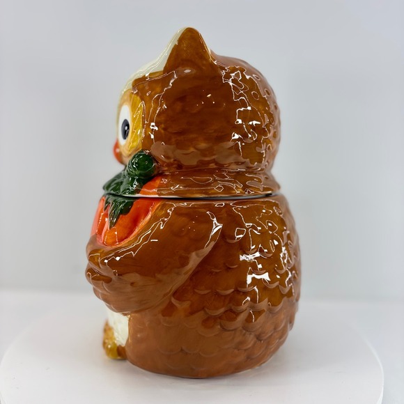 David's Cookies Ceramic Owl Cookie Jar with Pumpkin Autumn Fall Decor - Picture 2 of 9